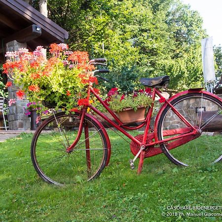 Il Casolare Bioenergetico Bed & Breakfast Albareto  Luaran gambar