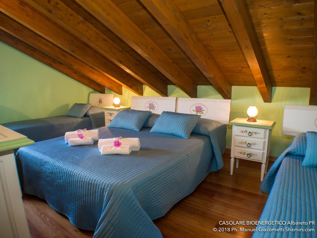 Il Casolare Bioenergetico Bed & Breakfast Albareto  Luaran gambar
