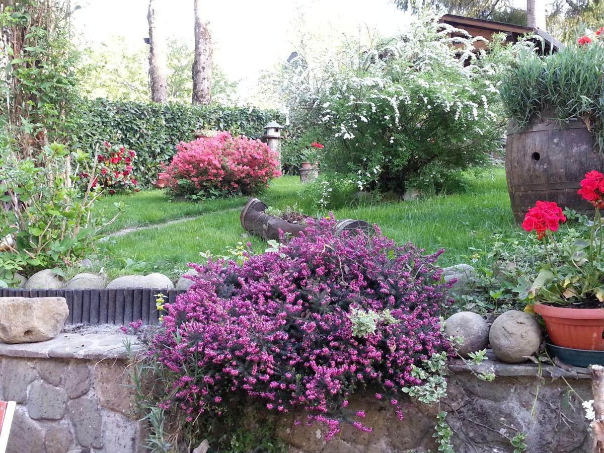 Il Casolare Bioenergetico Bed & Breakfast Albareto  Luaran gambar